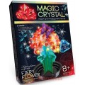 Набор для проведения опытов Magic crystal Danko Toys