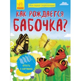 Книга Моя перша енциклопедія. Як народжується метелик? рос / укр Ранок