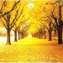 Набор для творчества Алмазная мозаика Осень Желтая листва 30х40см без рамки H8023