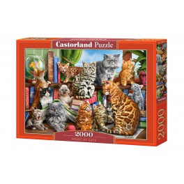 Castorland  пазлы 2000 Кошки 92х68см   C-200726