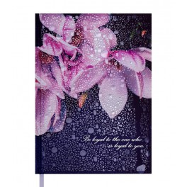 Дневник недатированный POSH, A5, 288 стр., кобальтовый ТМ BUROMAX BM.2013-54