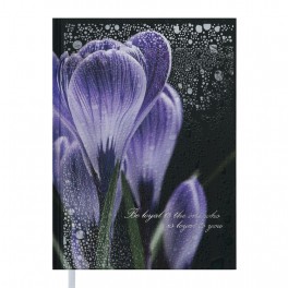 Дневник недатированный POSH, A5, 288 стр., фиолетовый ТМ BUROMAX BM.2013-01
