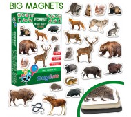 Набір магнітів Magdum Forest photo Тварини лісу 20 магнітів у кор. 17*12*4см Україна Magdum ML4031-29EN