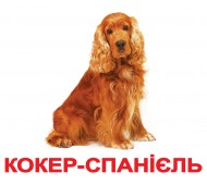 Карточки Домана. Украинский язык. Вундеркинд с пеленок. Породы собак