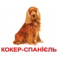 Картки Домана. Українська мова. Вундеркінд з пелюшок. Породи собак